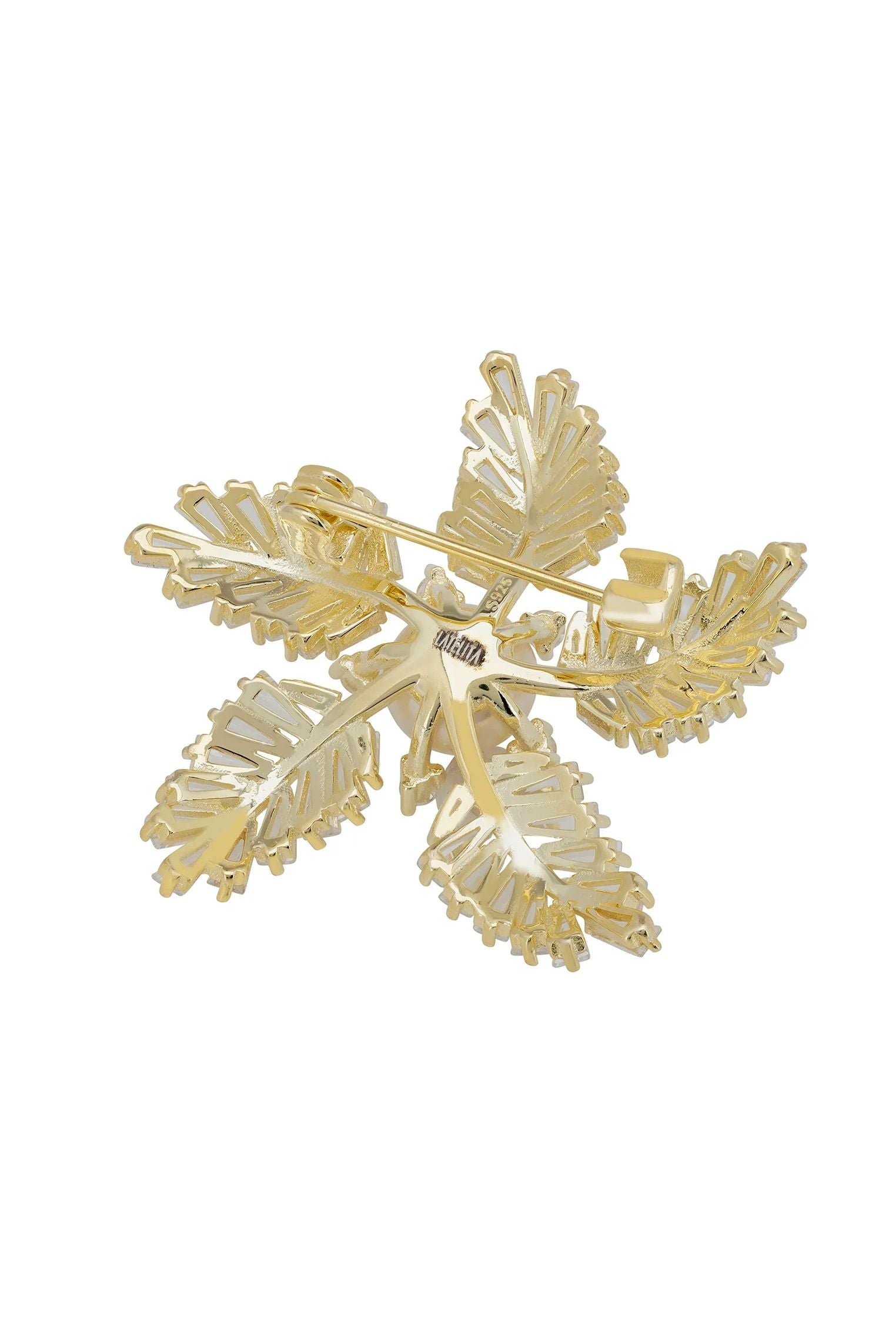 Pin back of the brooch.