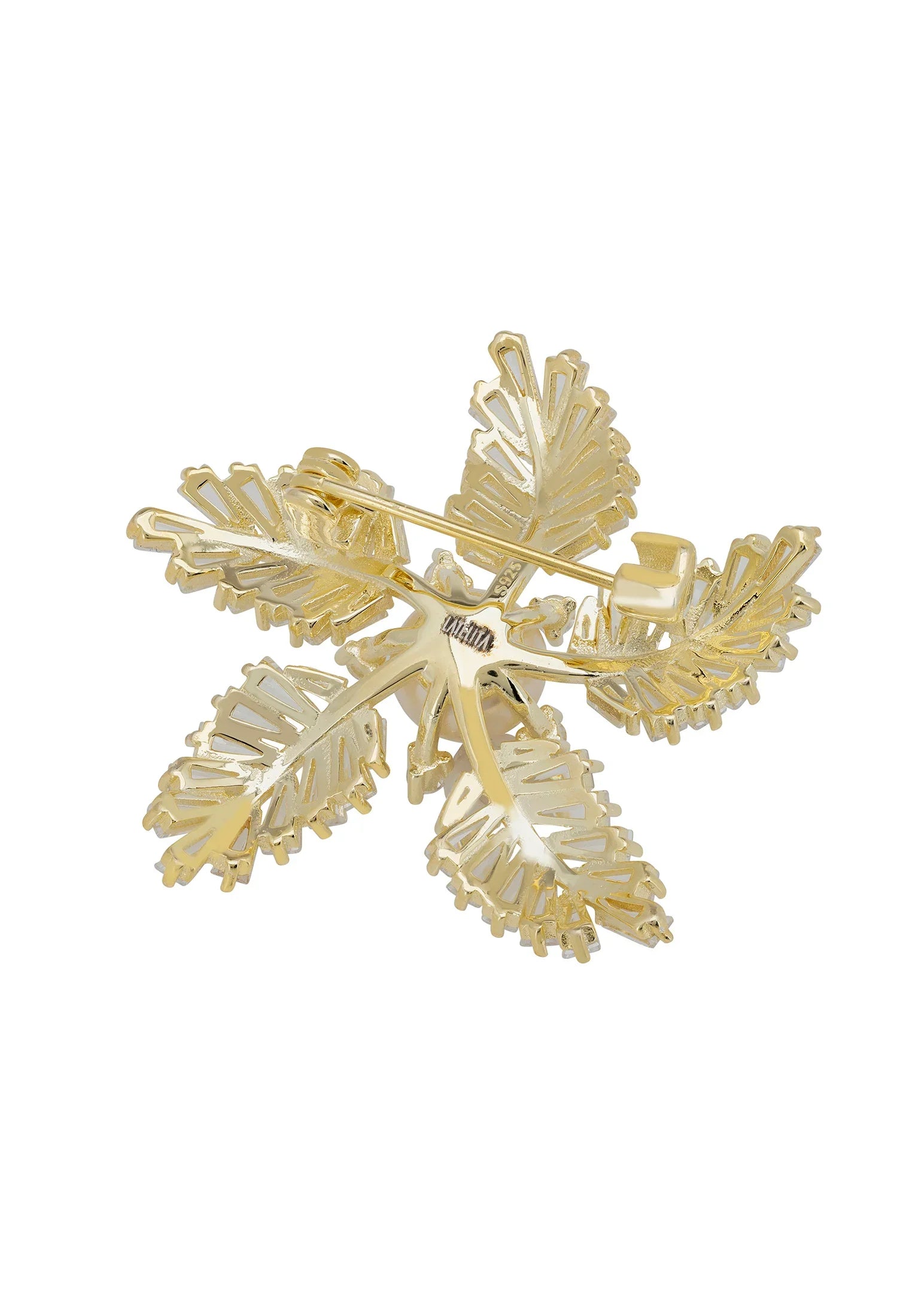 Pin back of the brooch.