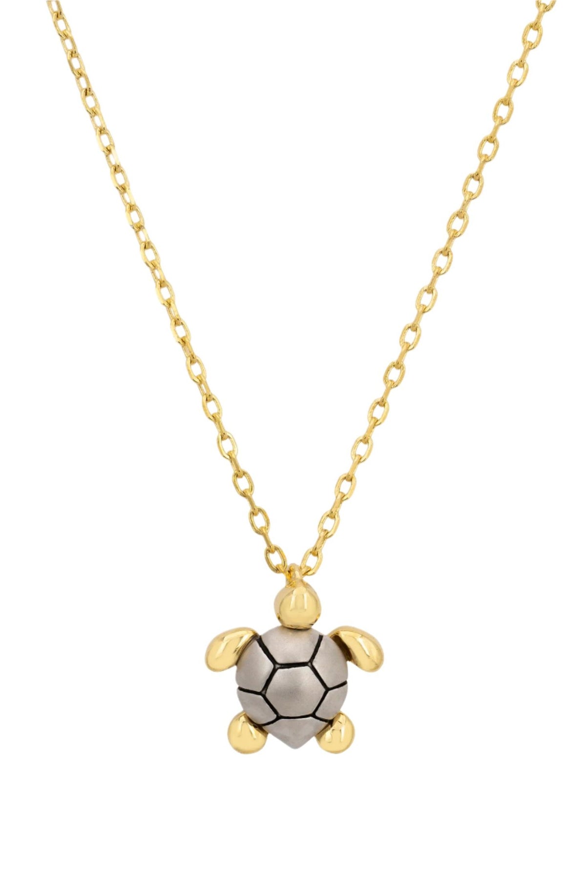 Close-up of the silver and gold turtle pendant.
