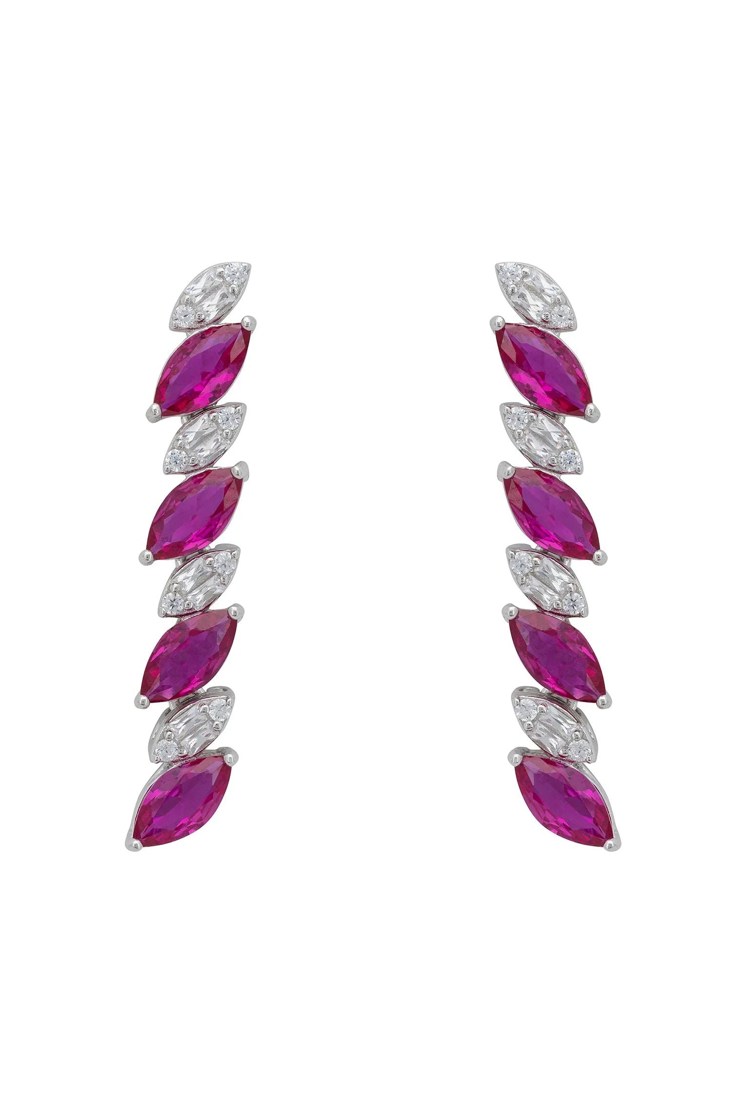 Ruby and diamond earrings.