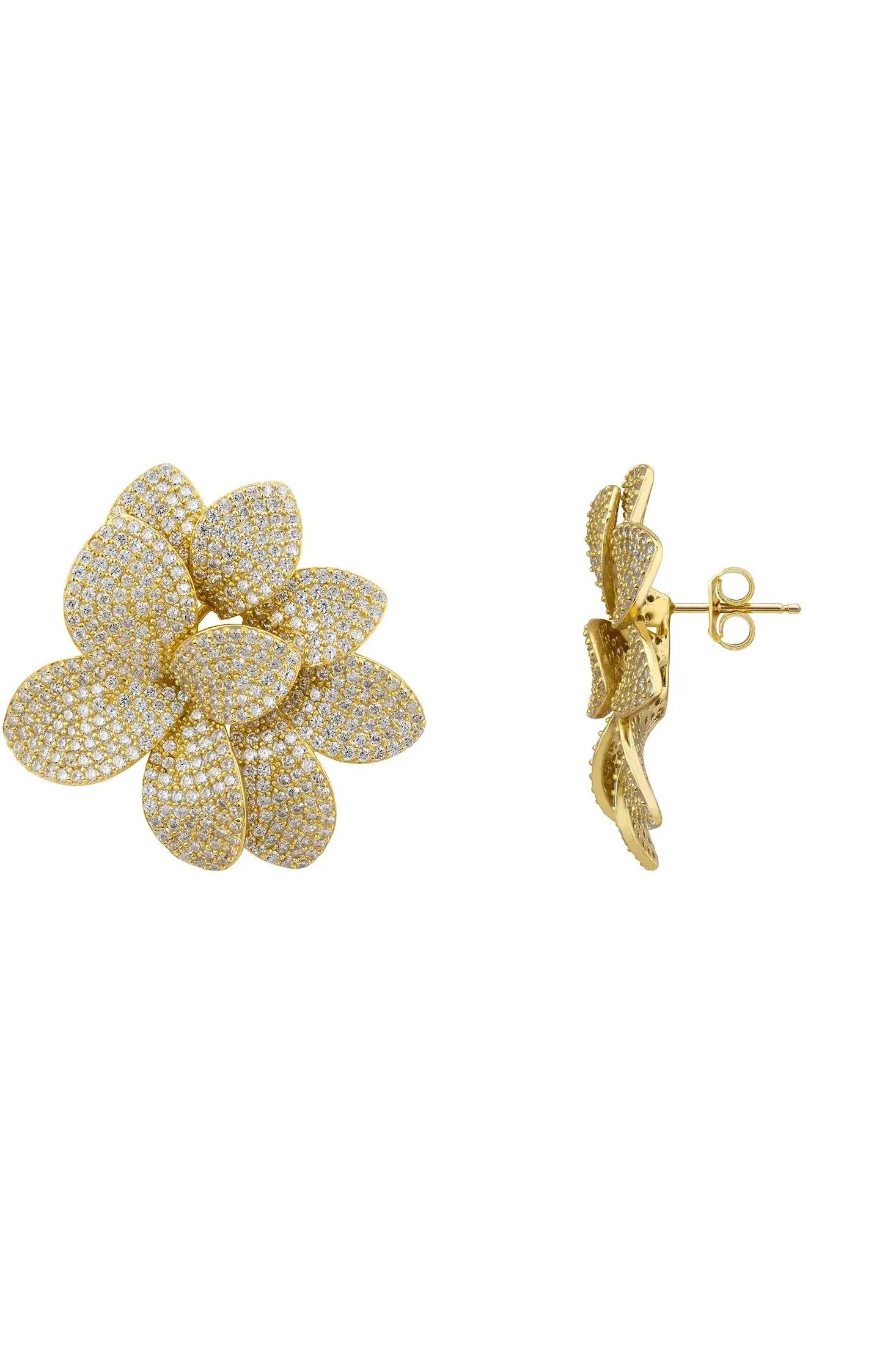 Push backing of the earrings.