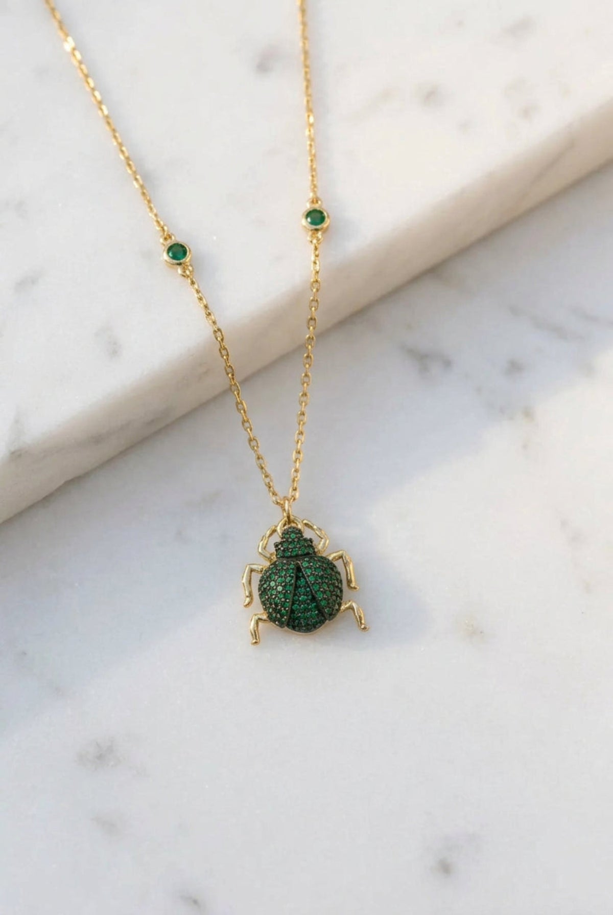 Still life of the necklace.
