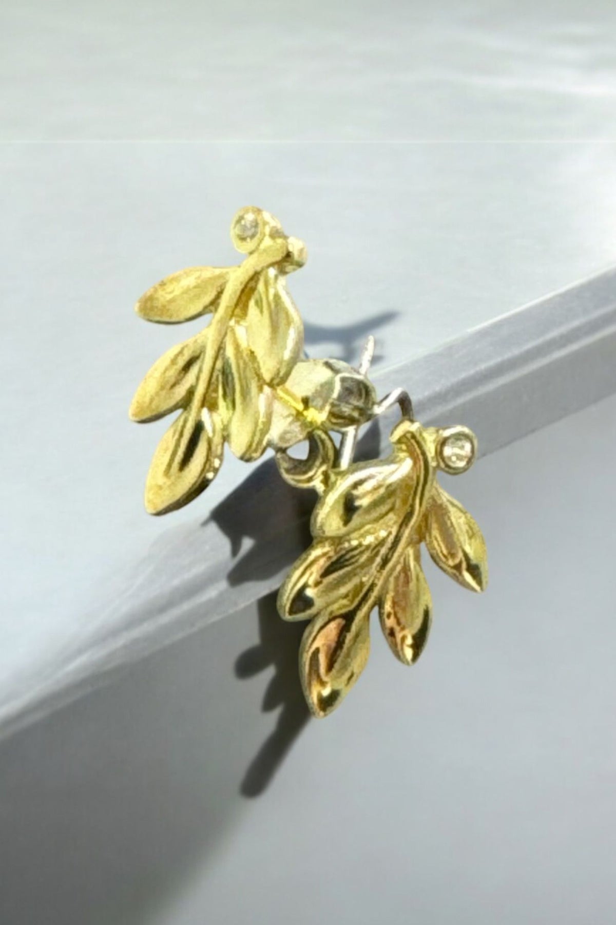 Still life of the earrings.