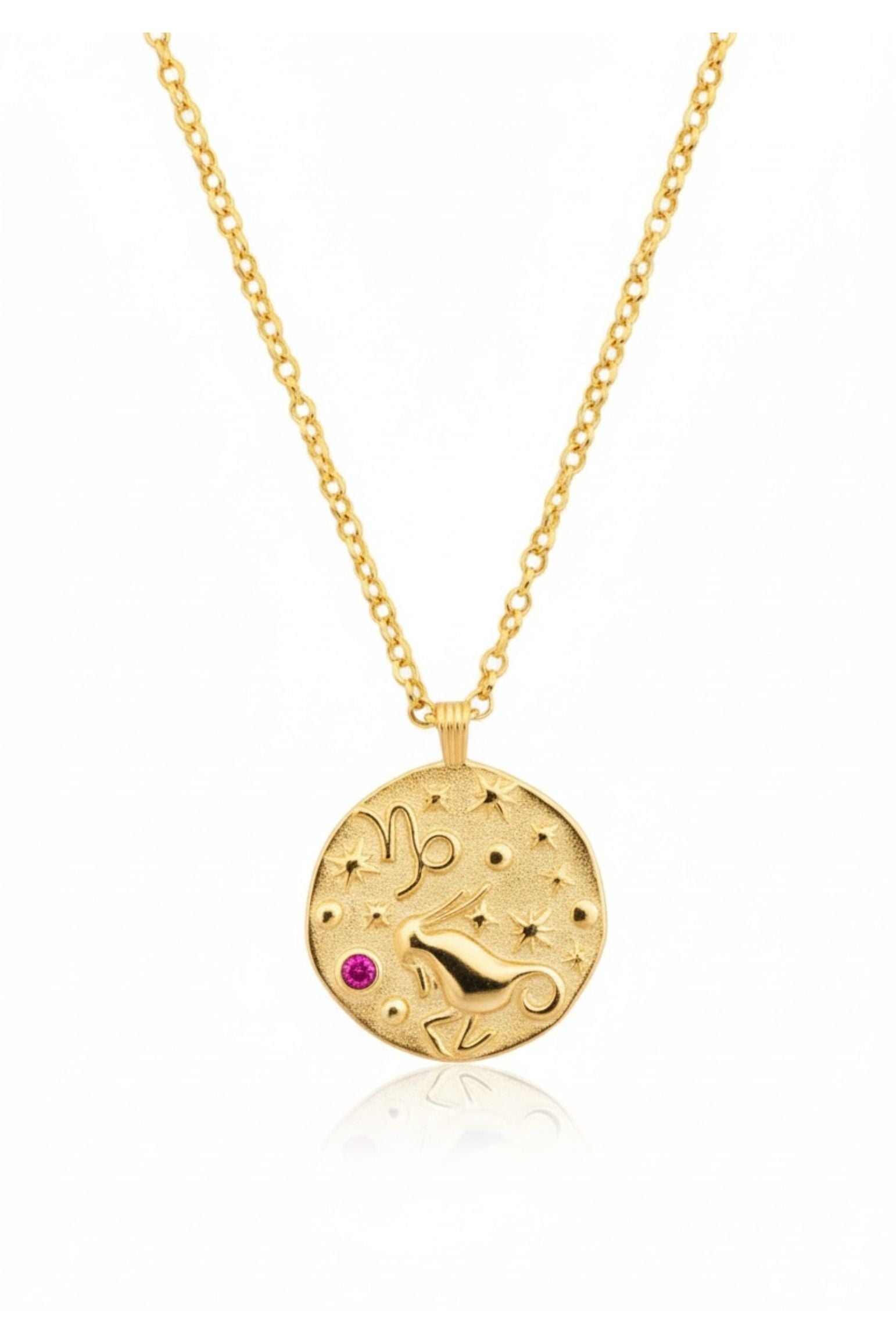 Zodiac Birthstone Talisman Necklace Capricorn Gold