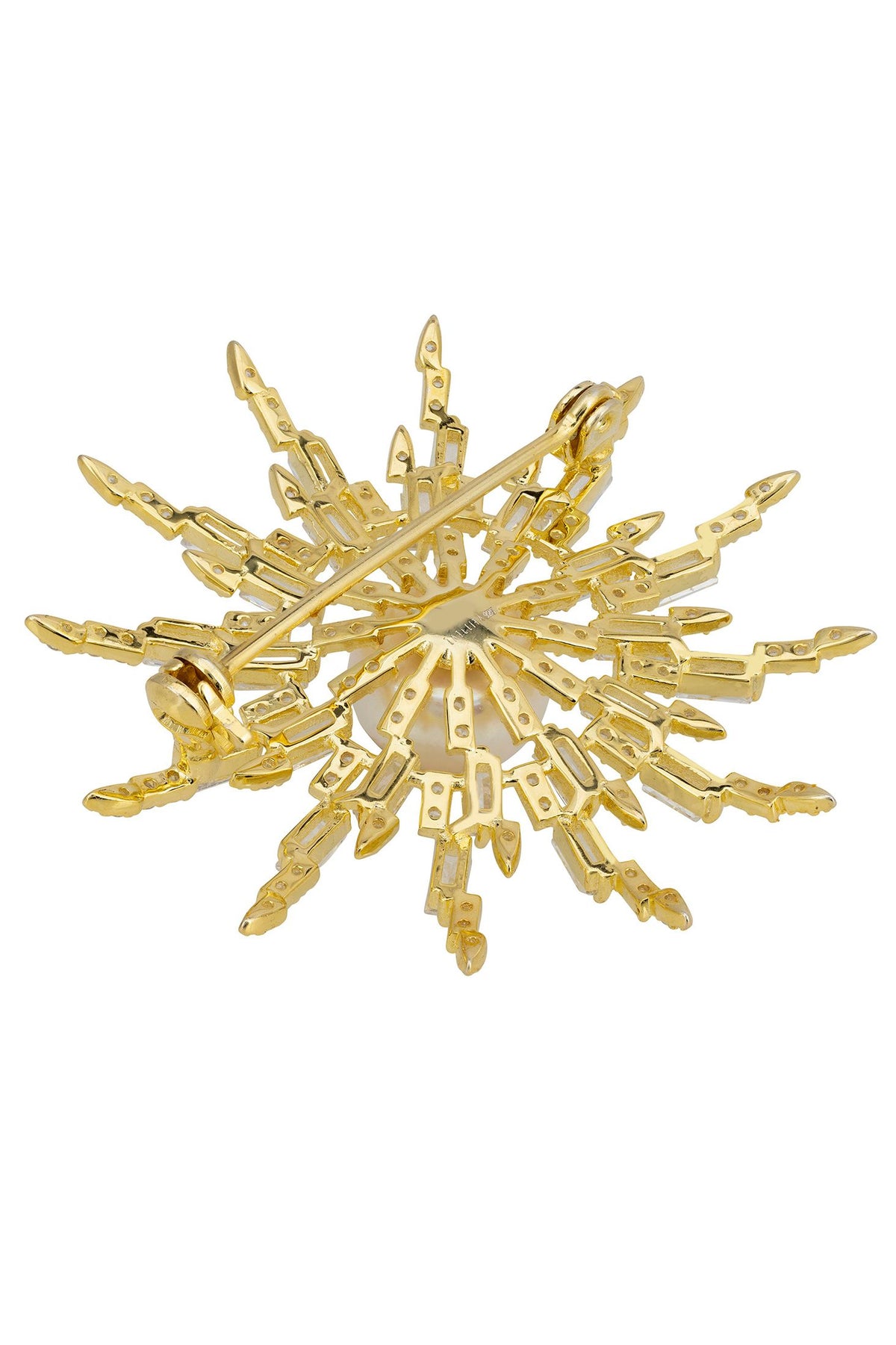 Pin back of the brooch.