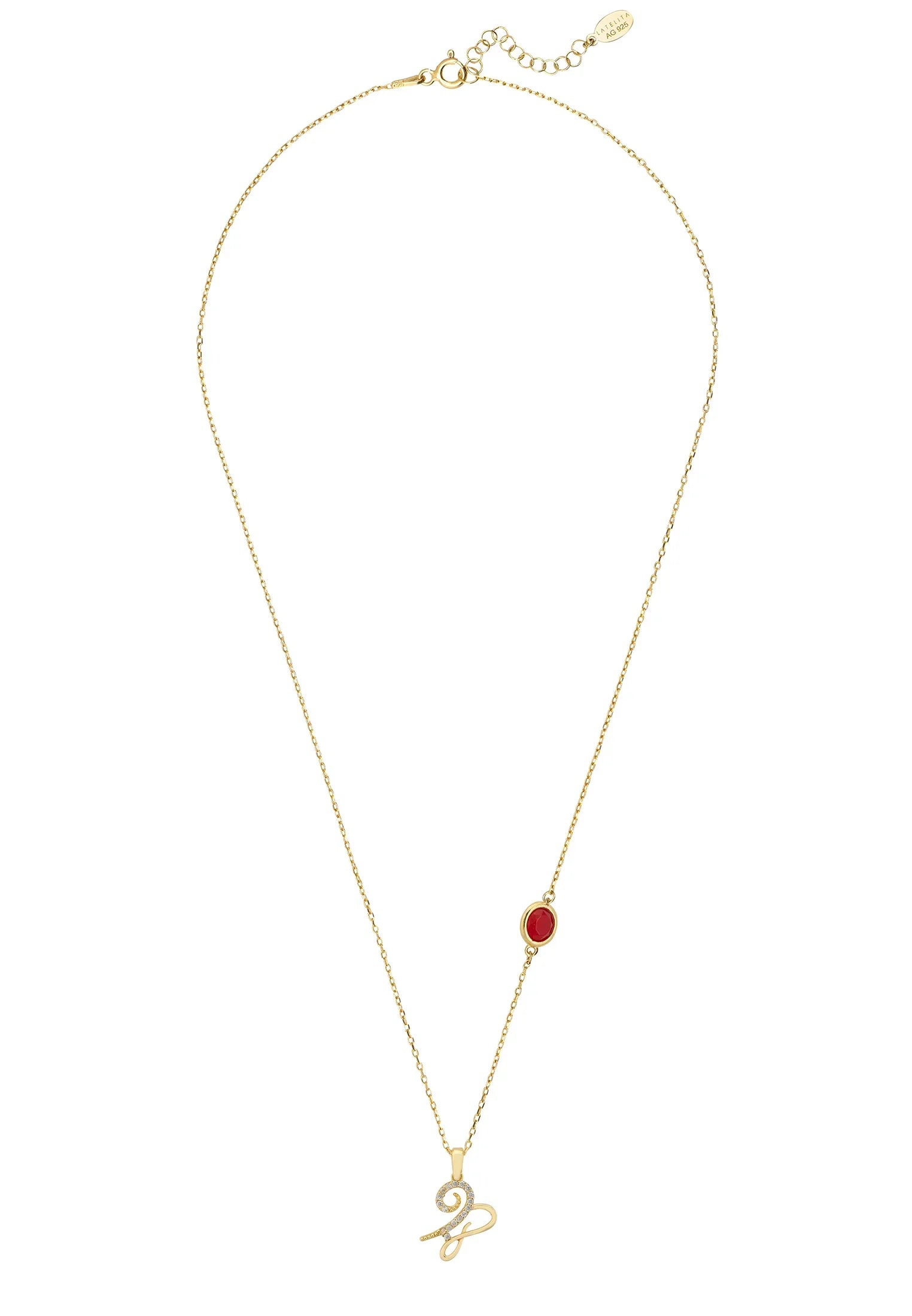 Zodiac Birthstone Capricorn Necklace Garnet Gold