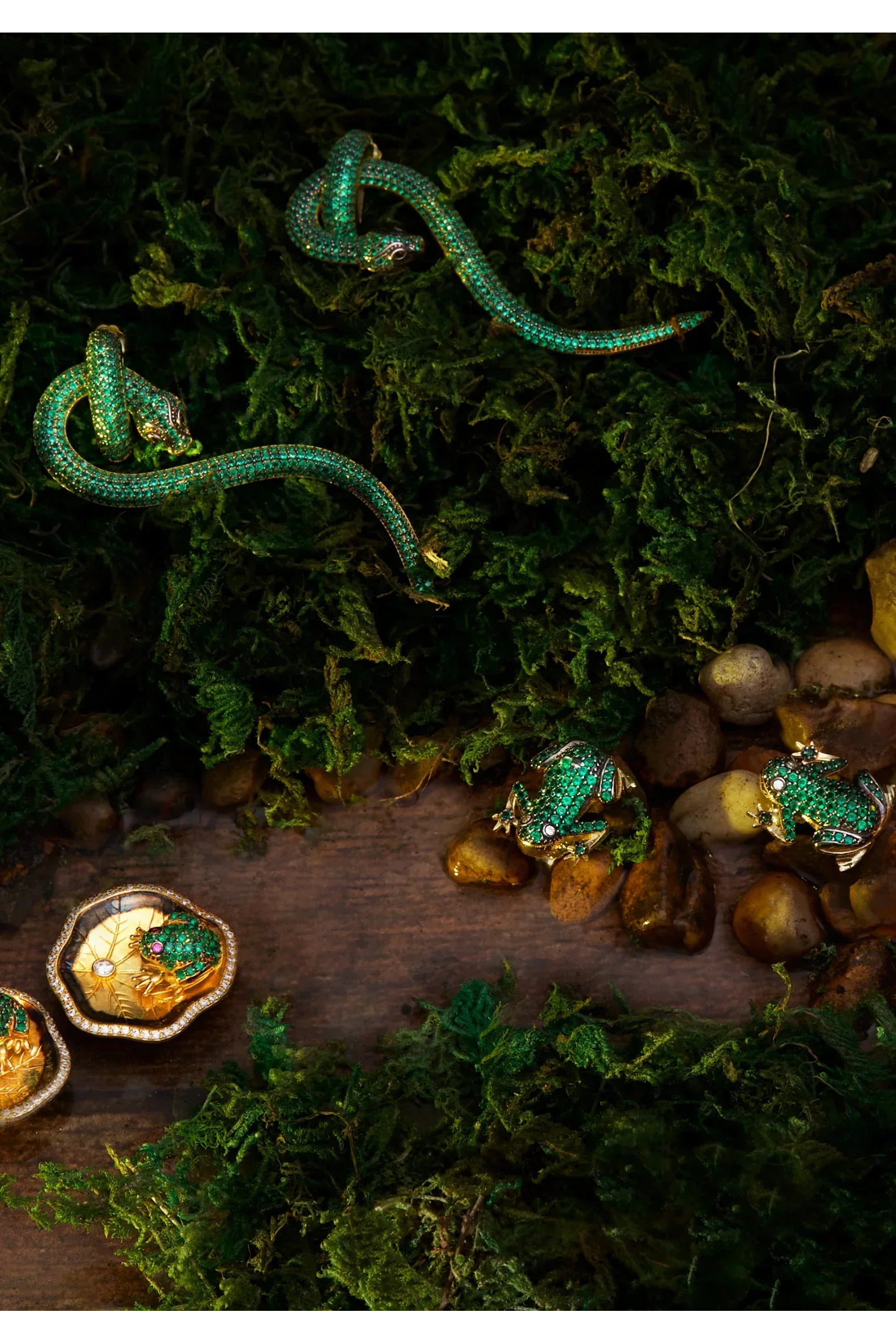 Leap Frog Ohrstecker Gold