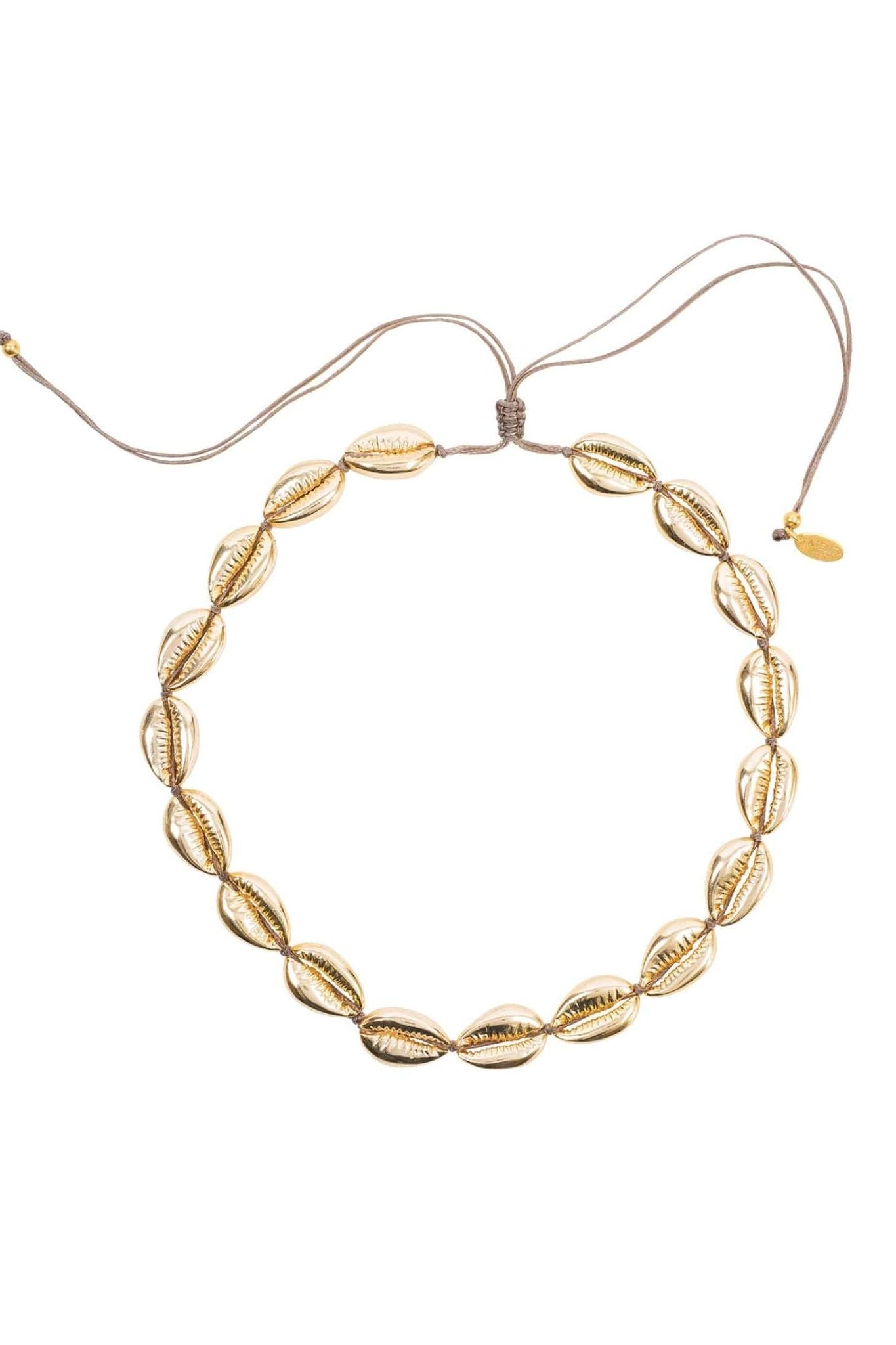 Cowrie Shell Choker Strand Necklace Gold - LATELITA Necklaces