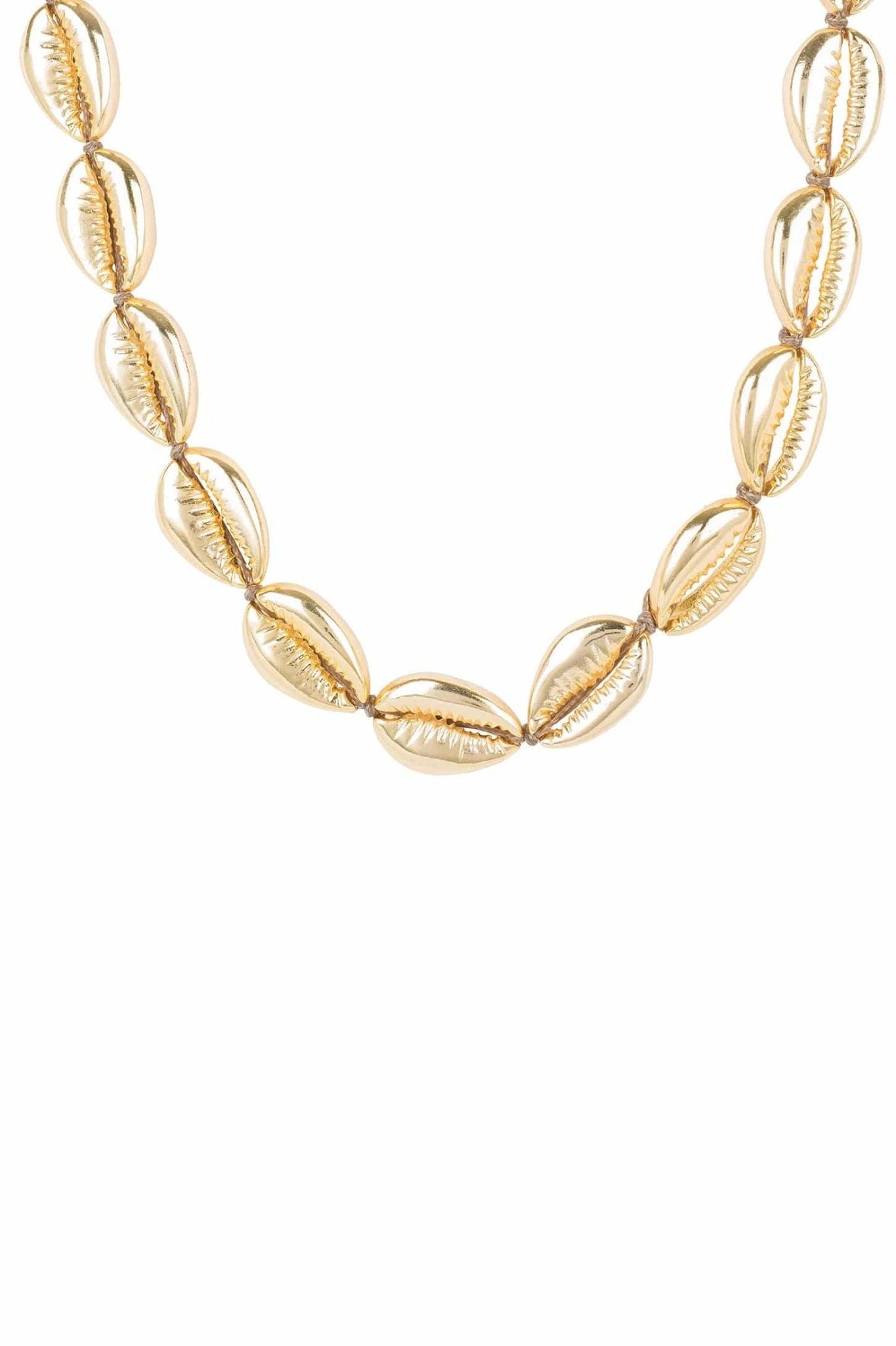 Cowrie Shell Choker Strand Necklace Gold - LATELITA Necklaces