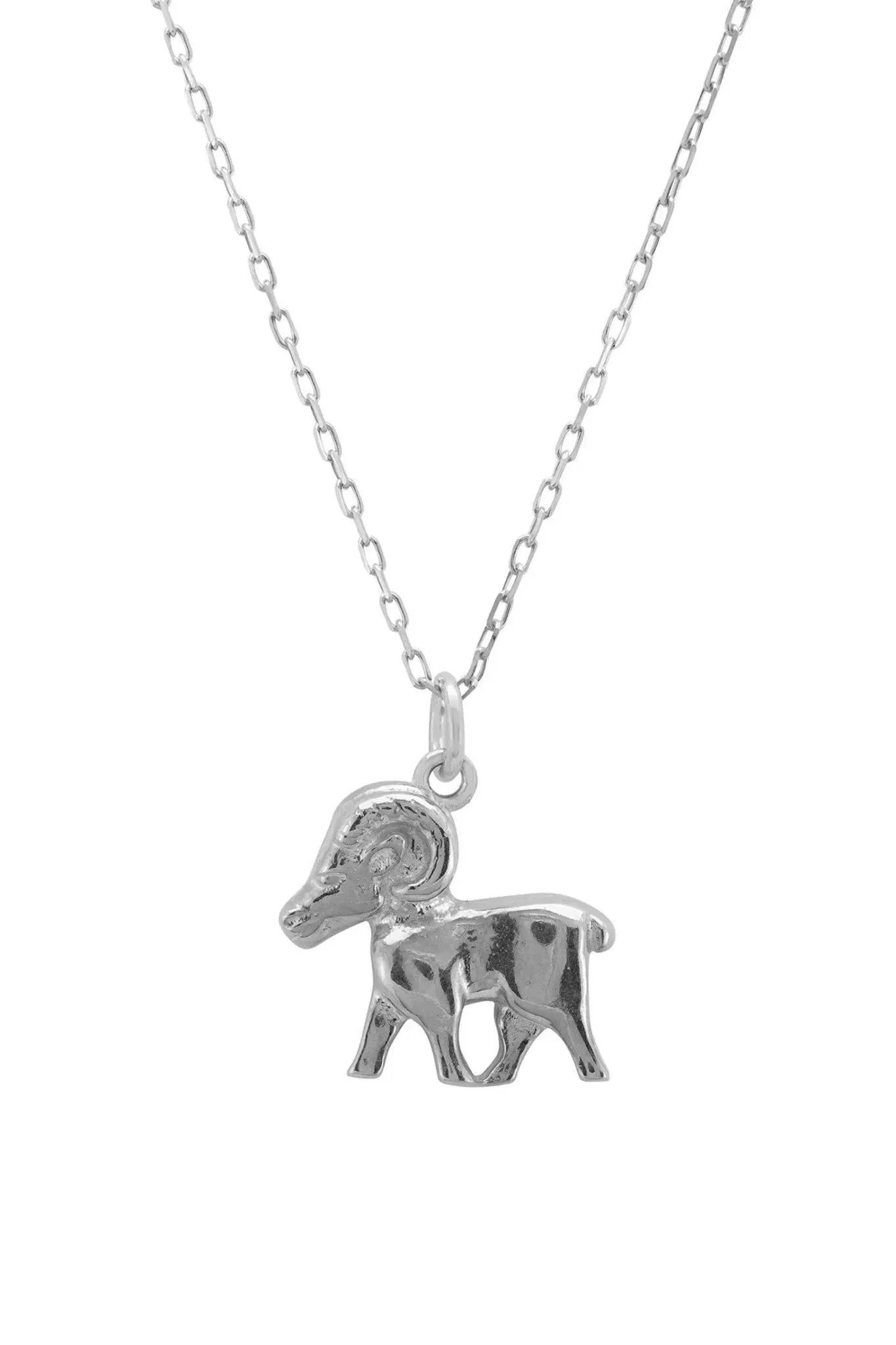 Zodiac Star Sign Necklace Silver Aries - LATELITA Necklaces