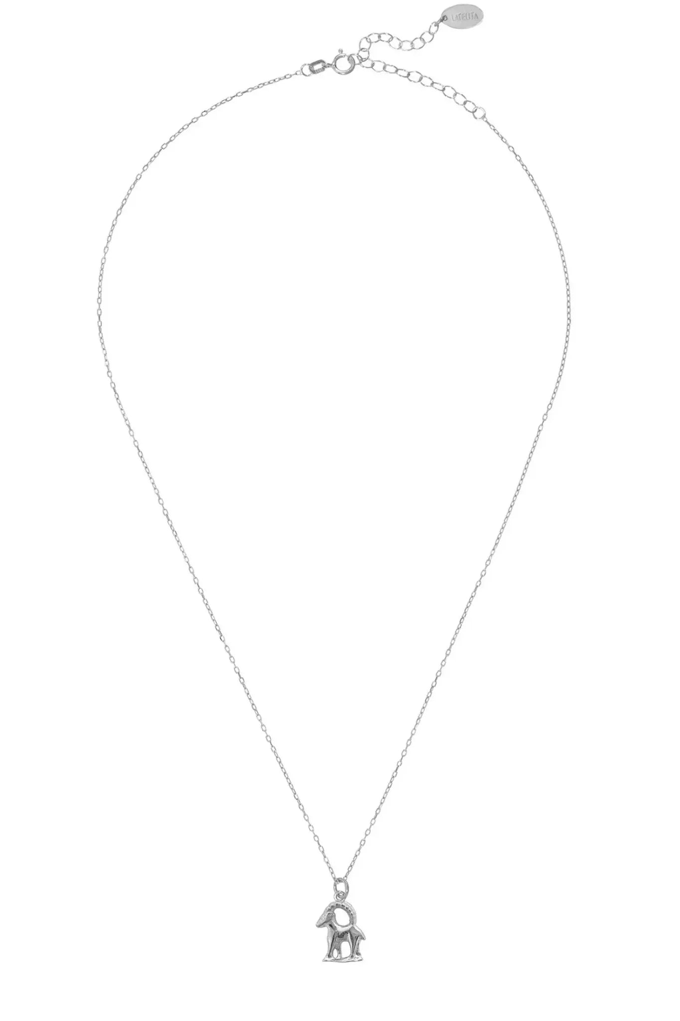 Zodiac Star Sign Necklace Silver Capricorn - LATELITA Necklaces