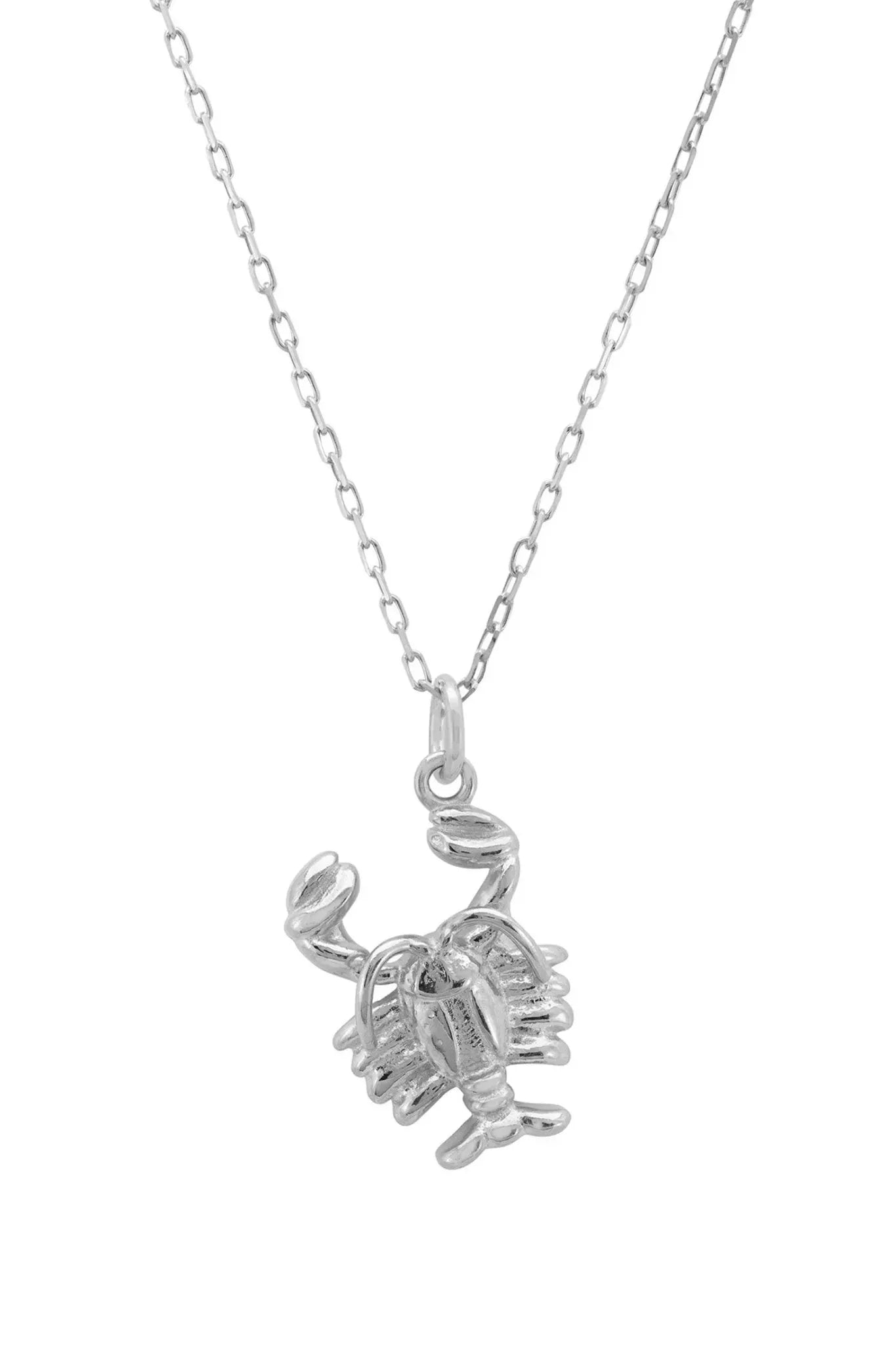 Zodiac Star Sign Necklace Silver Scorpio - LATELITA Necklaces