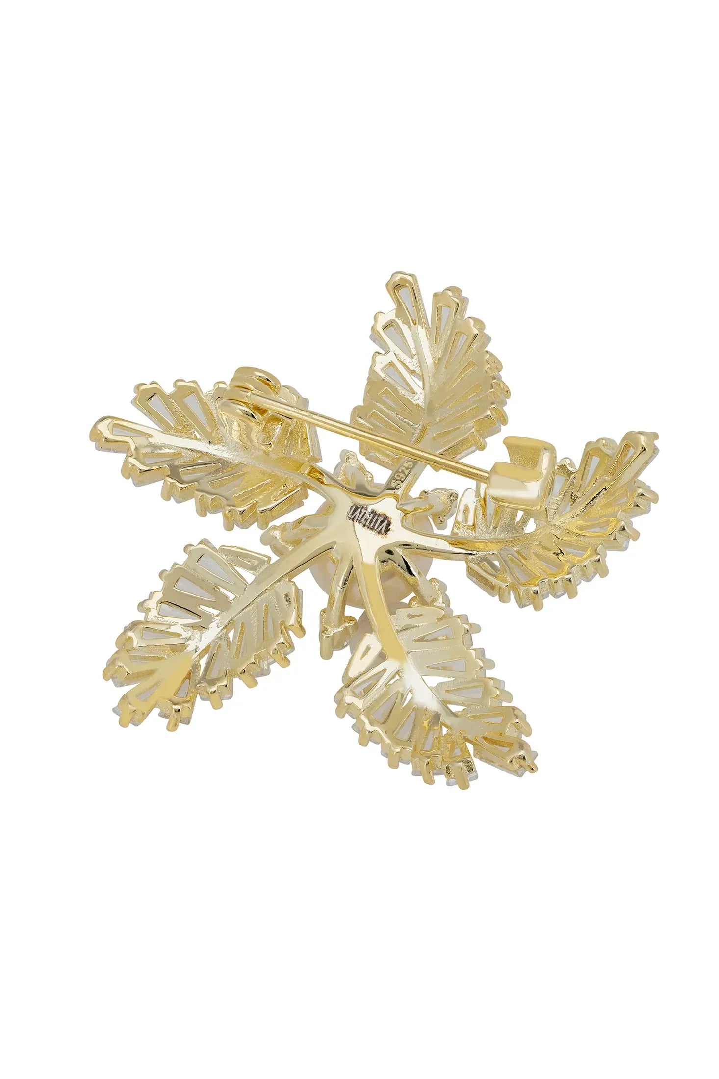 Pin back of the brooch.