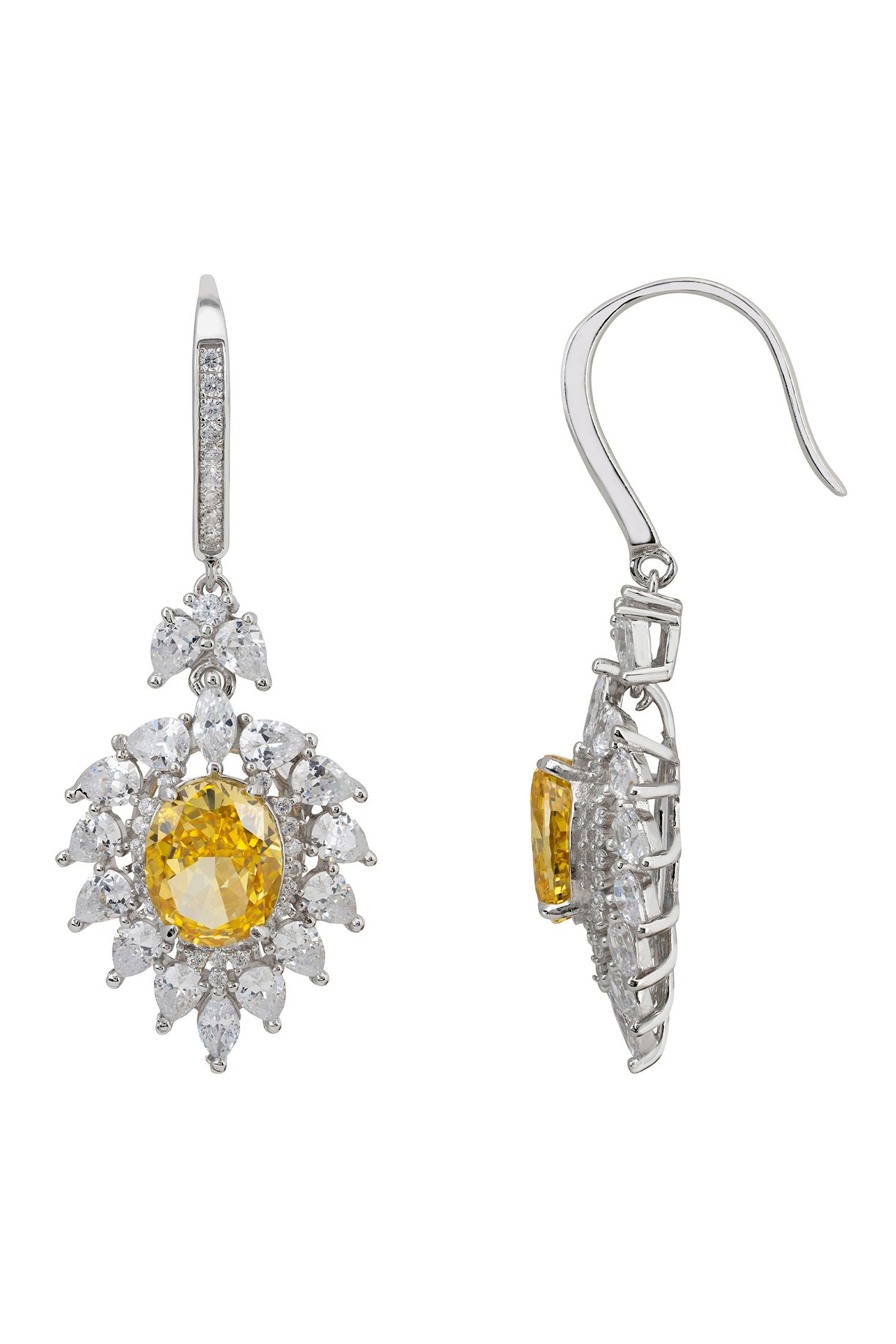 The hook of the earrings.