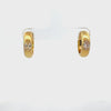 Rotating display of the earrings.