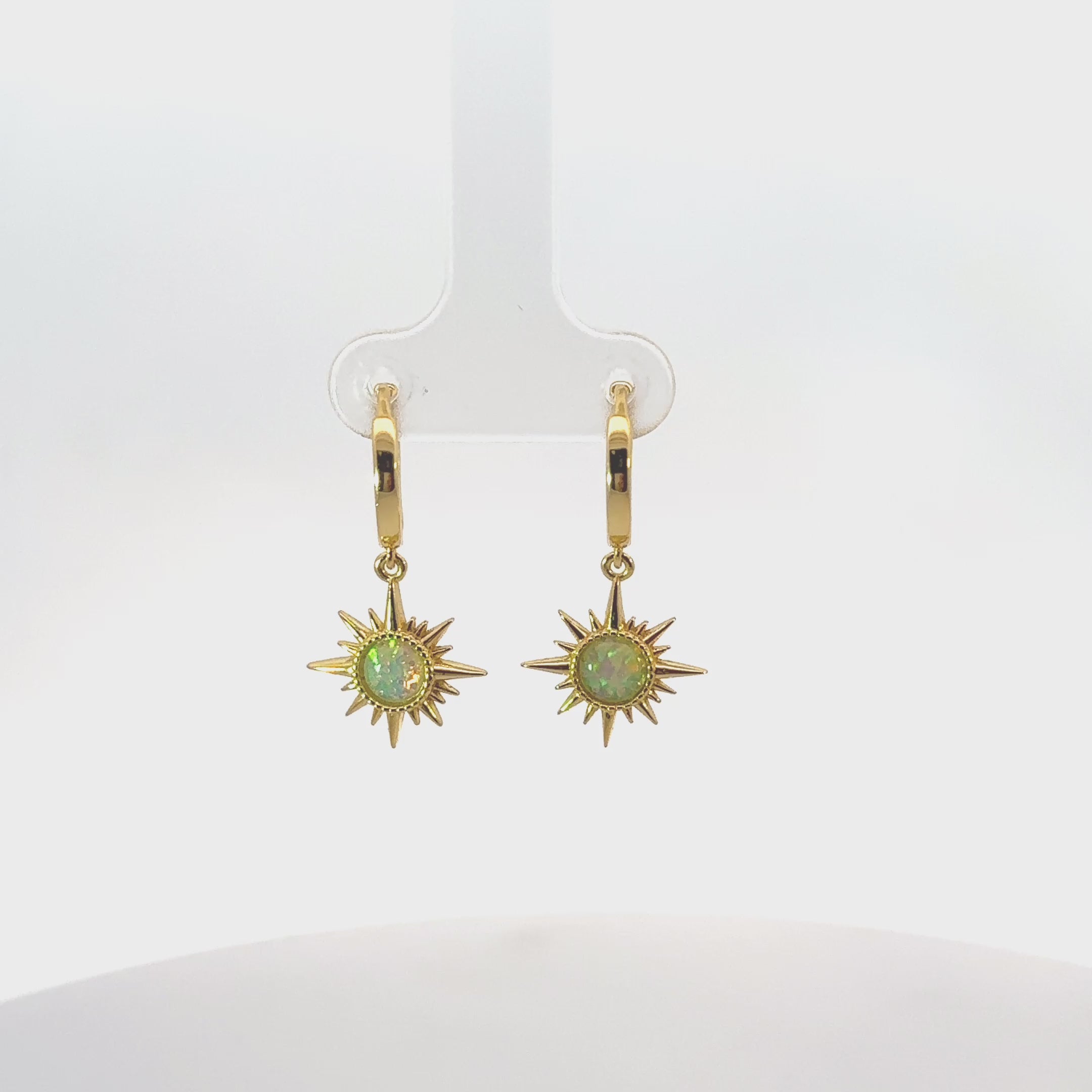 Rotating display of the earrings.