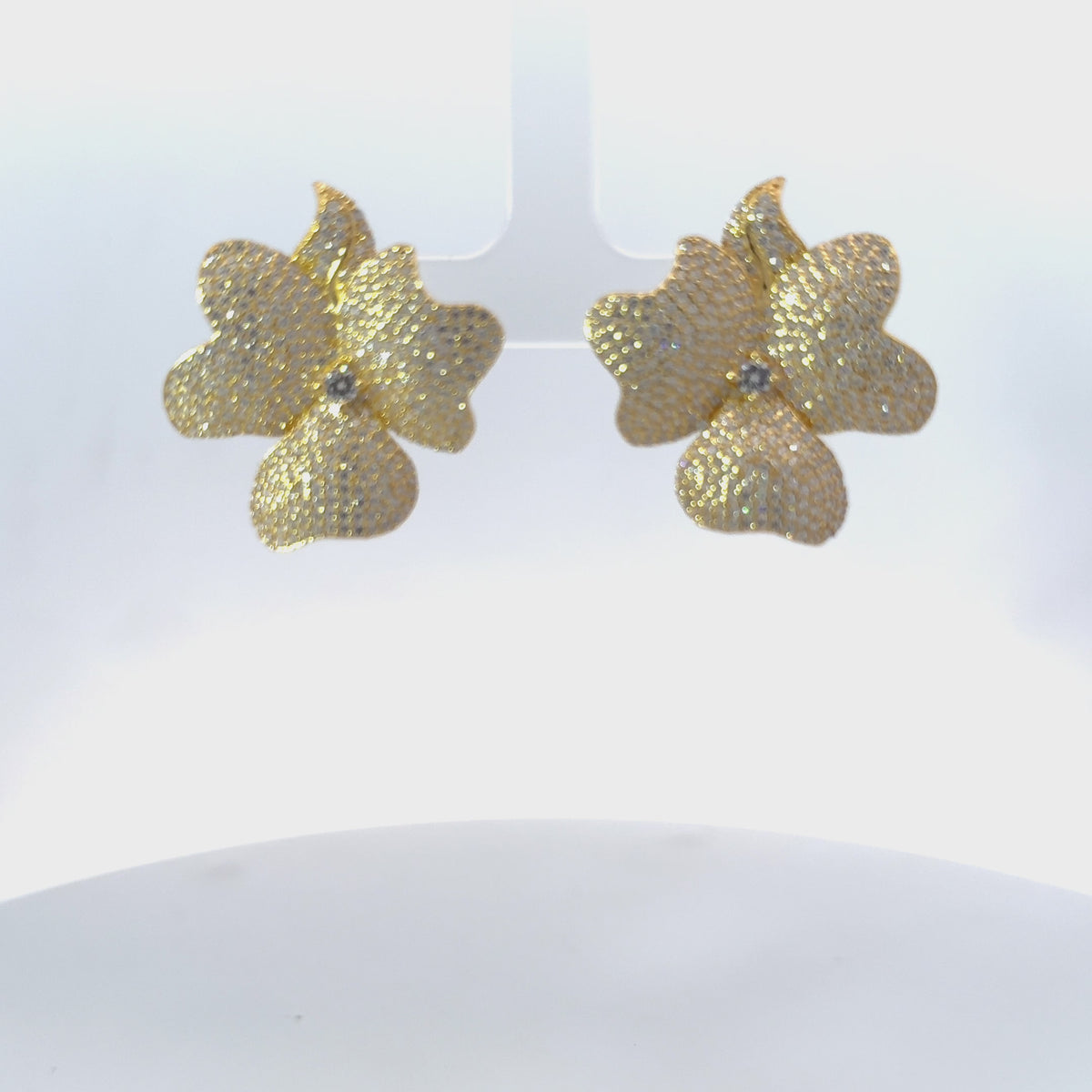 Rotating display of the earrings.