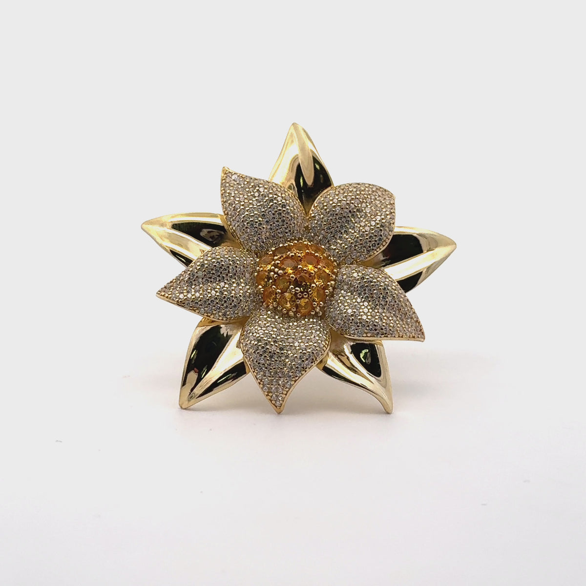 Rotating display of the ring.