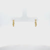 Rotating display of the earrings.