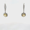 Rotating display of the earrings.