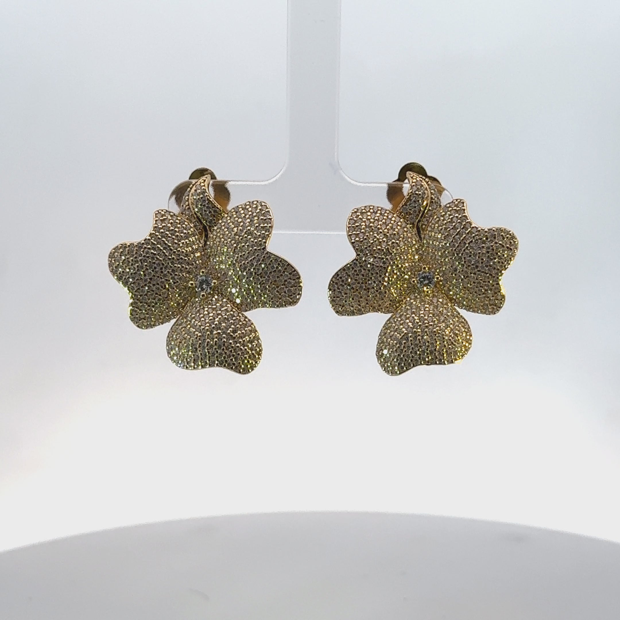 Rotating display of the earrings.