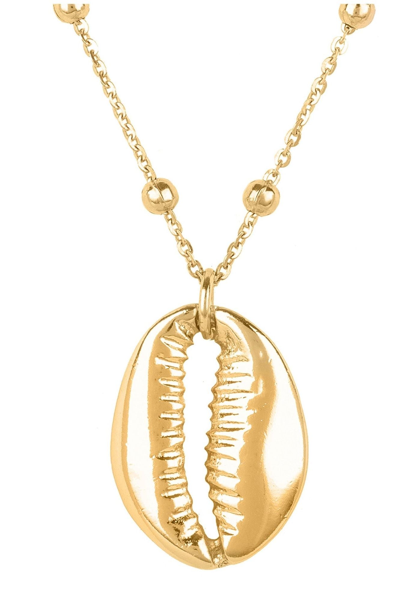Long Cowrie Shell Pendant Necklace Ball Chain Gold - LATELITA Necklaces