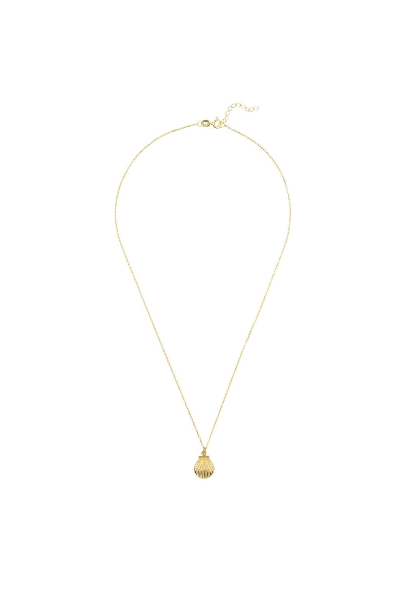 Scallop Mini Shell Necklace Gold - LATELITA Necklaces