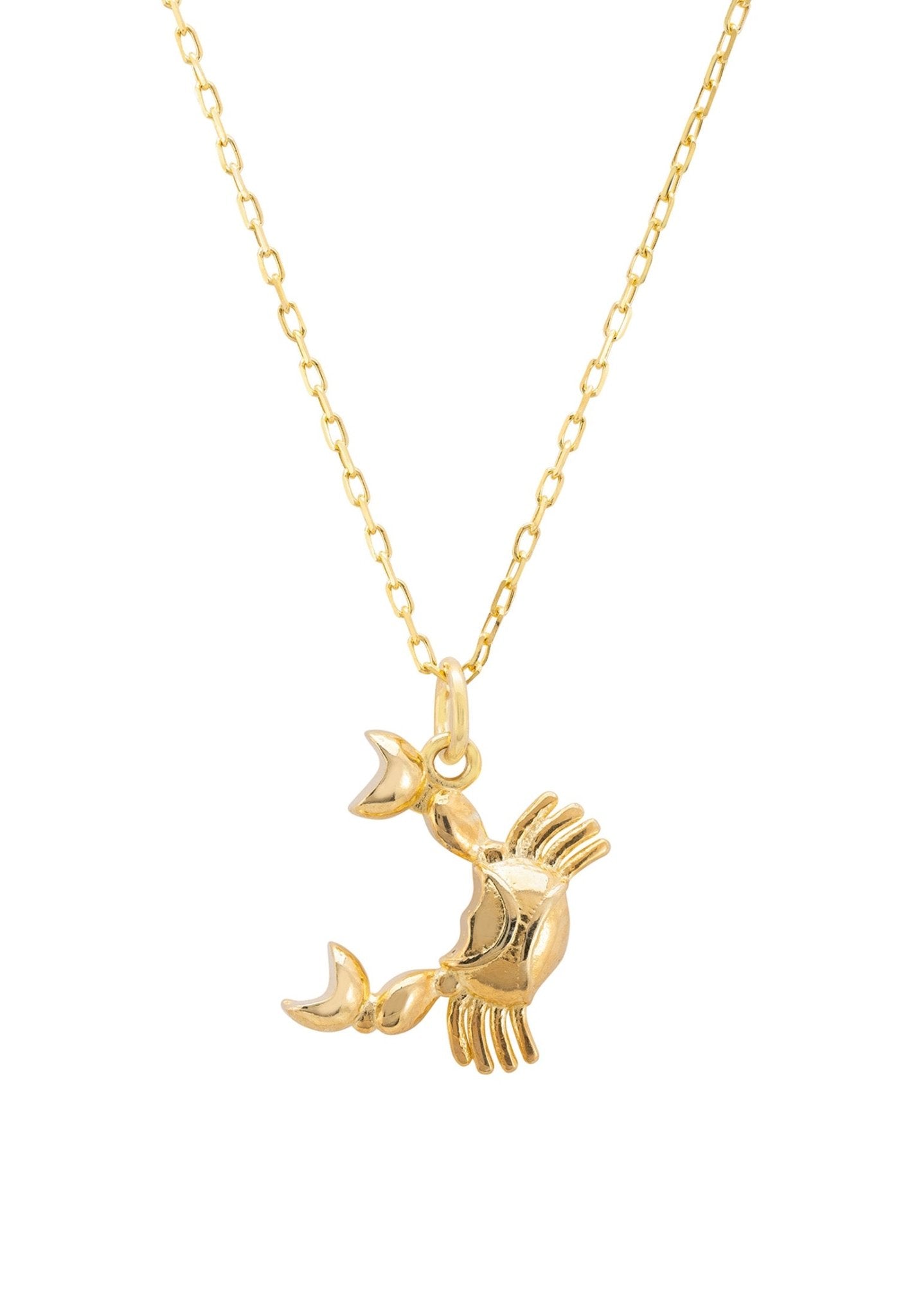 Zodiac Star Sign Necklace Gold Cancer - LATELITA Necklaces