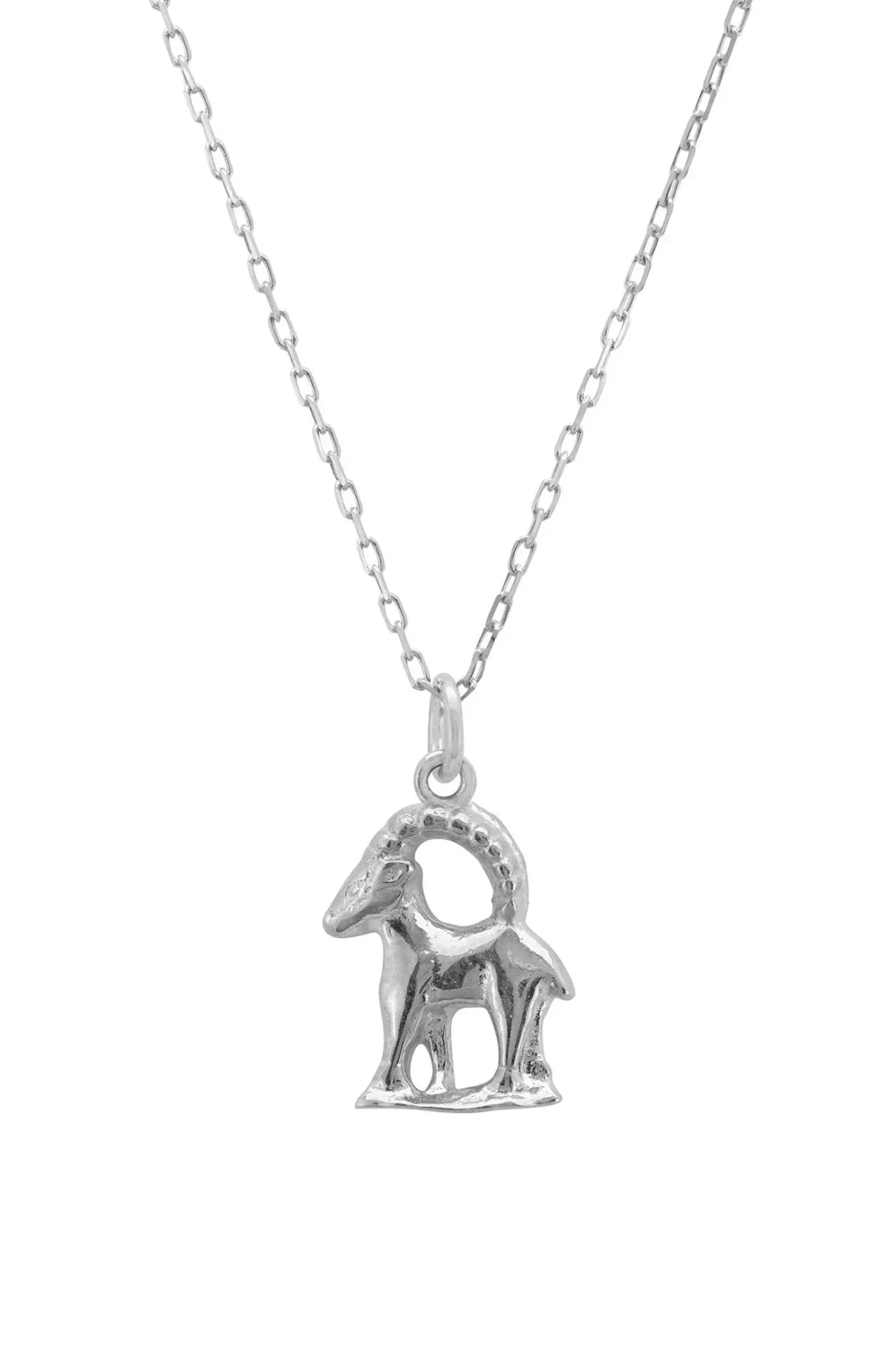 Zodiac Star Sign Necklace Silver Capricorn - LATELITA Necklaces